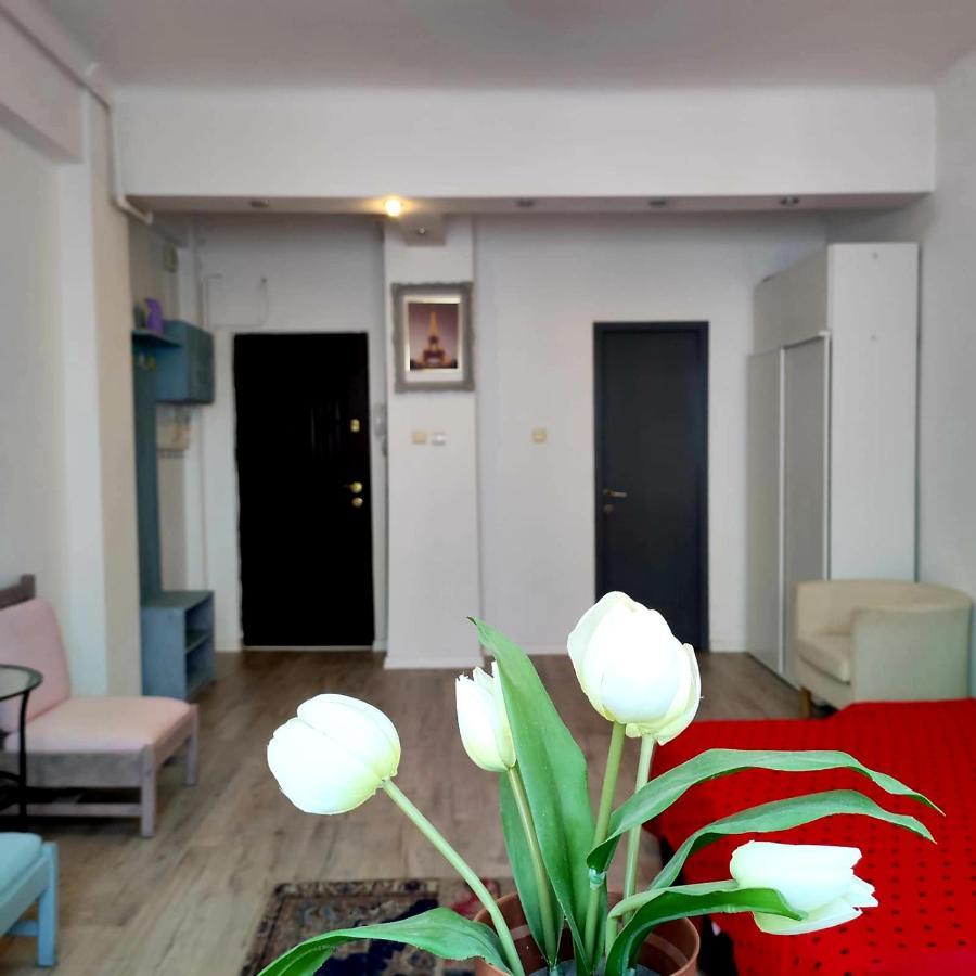 Garsoniera Centrul Bucurestiului Daire Dış mekan fotoğraf